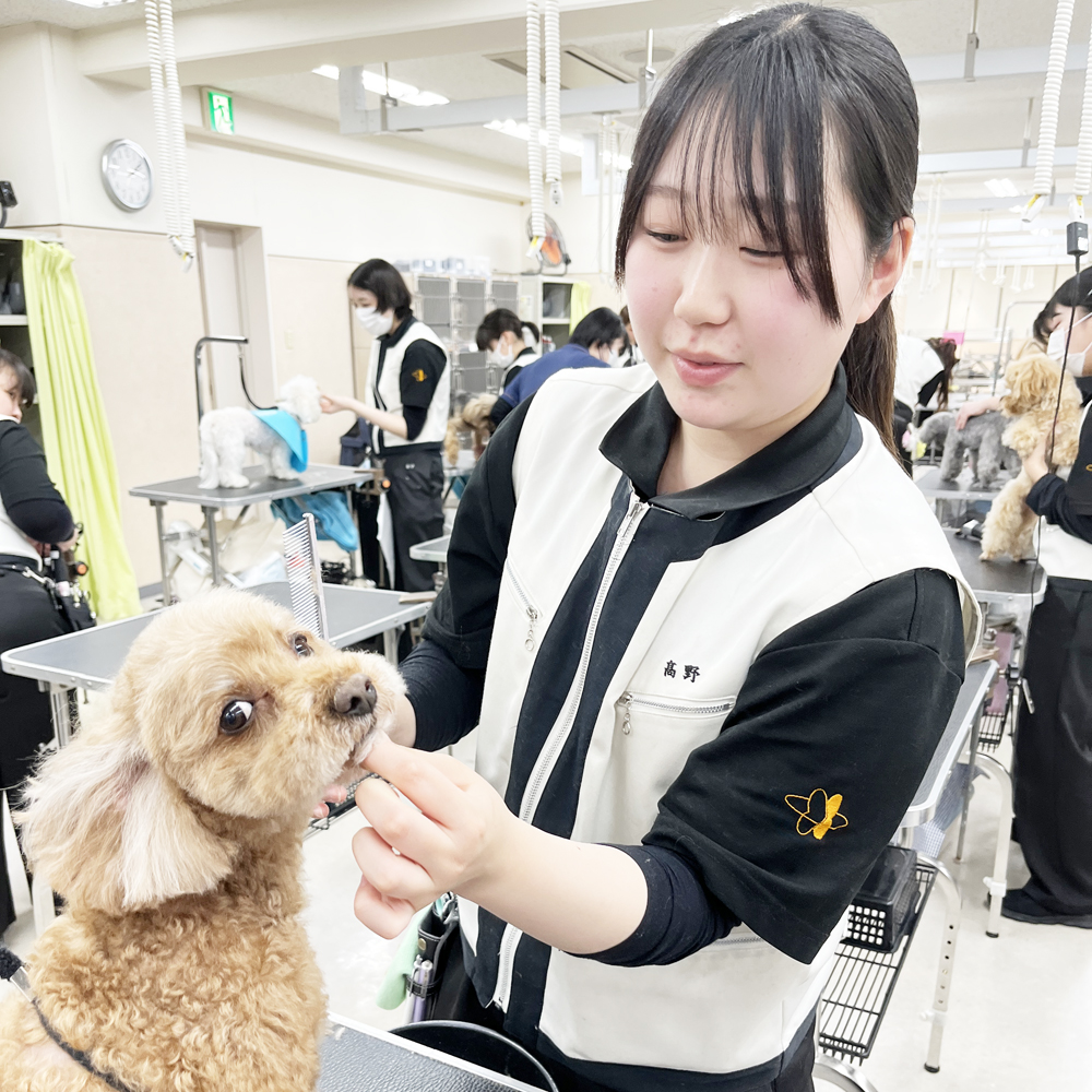スキルアッププログラム♪
